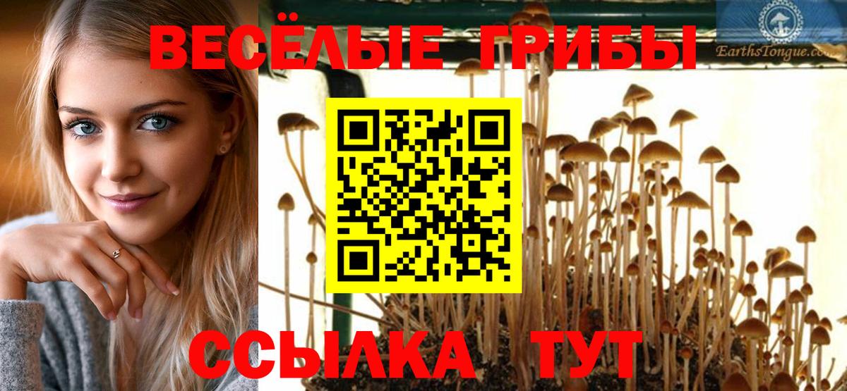 Псилоцибиновые грибы прущие грибы Фролово